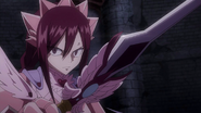 Erza's final duel