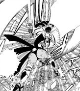 Erza uses Black and Red Twin Blades