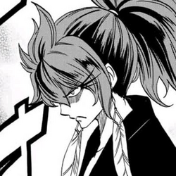 Suzaku Image Gallery Fairy Tail Wiki Fandom Suzaku Image Gallery Fairy Tail Wiki Fandom