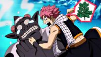 Natsu interrogates