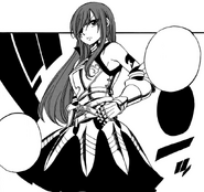 The seventh Guild Master Erza