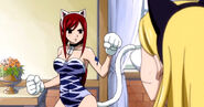 Lucy watches Erza's suit