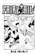 Natsu on the cover of Chapter 3