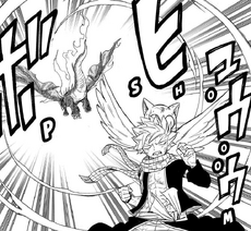 Natsu es ignorado por Ignia