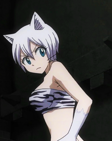 wallpapers Lisanna Fairy Tail Manga animal soul fairy tail wiki fandom