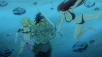 Madmole blocks Erza's attack