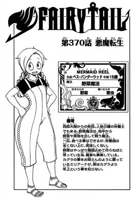 Cover 370
