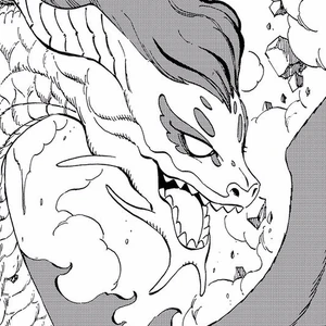 Irene Dragão perfil