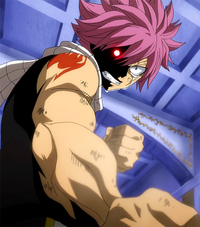 Natsu vows to protect the future