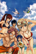 Team Natsu at the beach from Fantasia Artbook