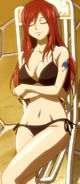 Erza resting at the resort