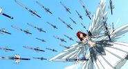 Erza and her 200 swords