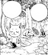 Natsu watches Happy going to hunt for him