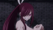 Erza's light