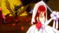 Erza defeats Coordinator