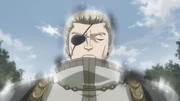 Precht absorbing Ethernano