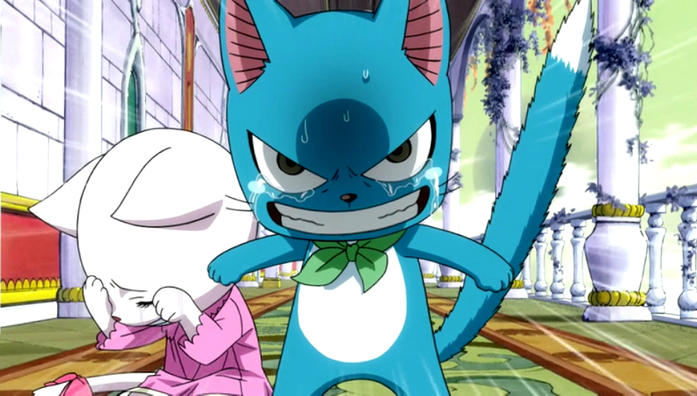 Exceed | Fairy Tail Wiki | Fandom