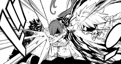Erza stops the fight