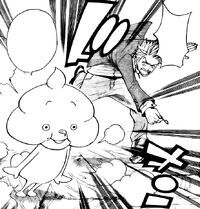 Plue Fairy Tail Wiki Fandom