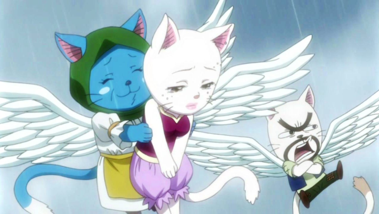Discover more than 145 happy cat anime super hot - highschoolcanada.edu.vn