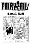 Chapter 492