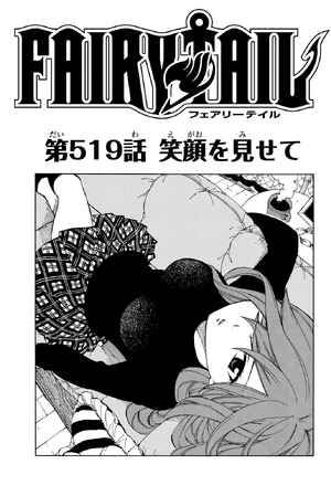 Cover 519