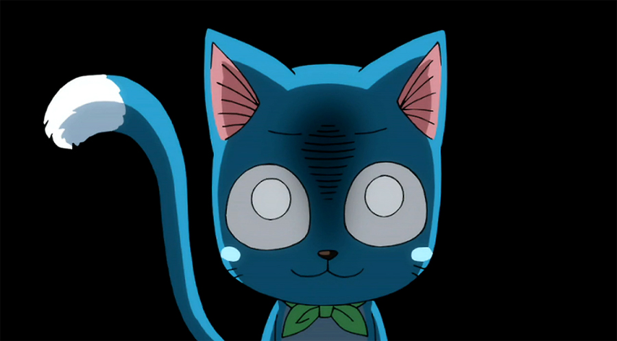 Japanese Anime Natsu Dragneel Best Friend Happy Blue Cat