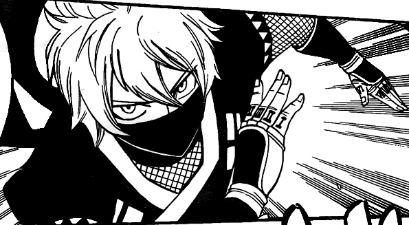 Ninja | Fairy Tail Wiki | Fandom