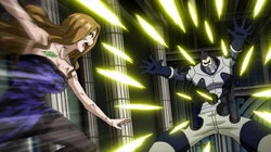 Evergreen atacando al soldado de debilidad