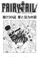 Natsu on the cover of Chapter 230