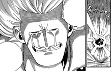 Elfman colocando um lacrima na guilda.