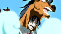 Sagittarius Fairy Tail Wiki Fandom Sagittarius Fairy Tail Wiki Fandom