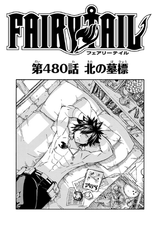 Chapter 480 | Fairy Tail Wiki | Fandom