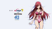 Episode 203 (DVD version) - Erza Scarlet