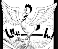 Lisanna as a bird