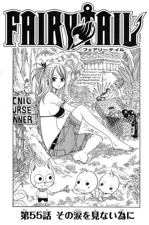 Chapter 55 Fairy Tail Wiki Fandom