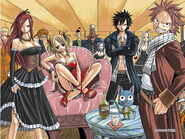 Natsu on the cover of Chapter 27
