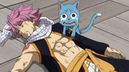 Unconscious Natsu brought back by Happy