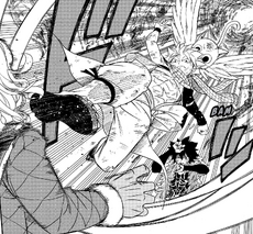 Natsu interfiere y patea a Zero