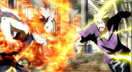 Natsu vs. Laxus