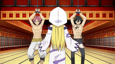 Gray y Natsu prisioneros de Selene