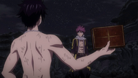 Natsu and Gray argue over the book