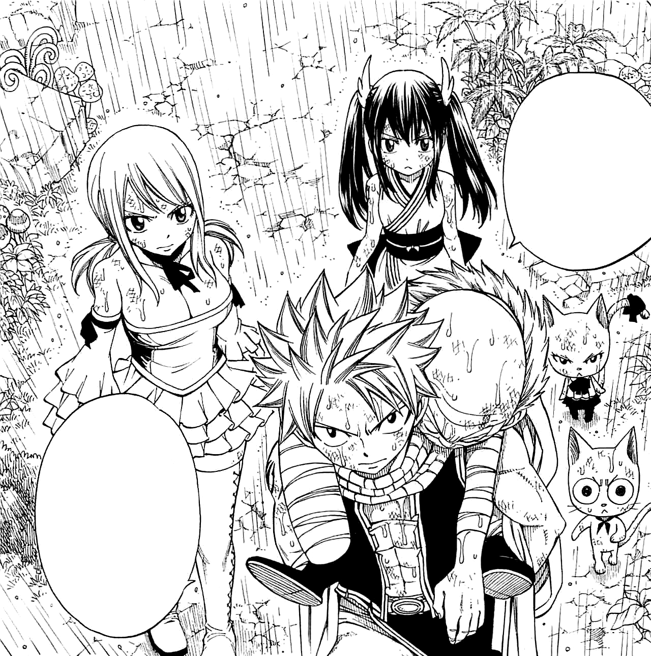 Chapter 231 | Fairy Tail Wiki | Fandom