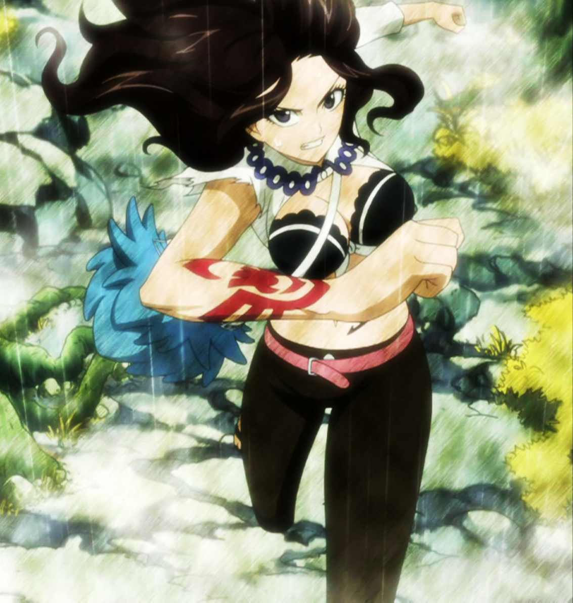 Fairy Tail Cana Fairy Glitter Episode