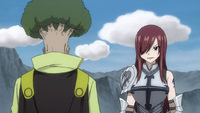 Erza's group accepts the request