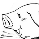 Shot of Hawk.png