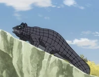 A small Rollidilo full body