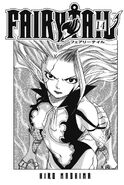 Mirajane on the inner cover of Volume 14