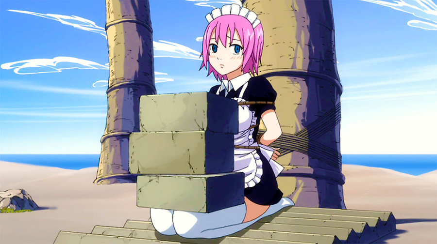 fairy tail celestial spirits virgo