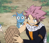 Natsu encuentra el huevo